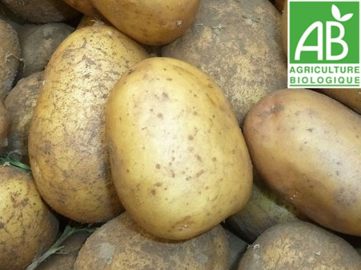 Image de PDT NOUVELLE NICOLA IT 10KG - KG BIO