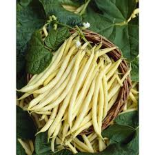 Image de HARICOT BEURRE TBE 3KG - KG BIO