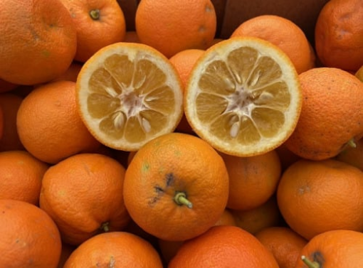 Image de ORANGE A JUS GR 7/9  - 10KG - KG BIO