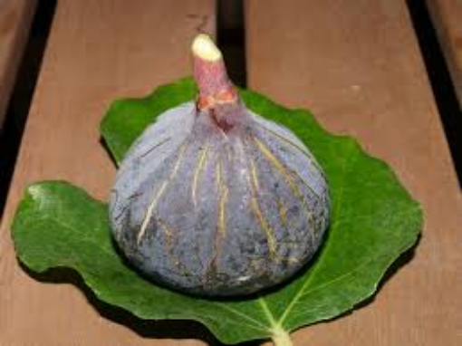 Image de FIGUE DAUPHINE FR 2.86 KG - KG BIO