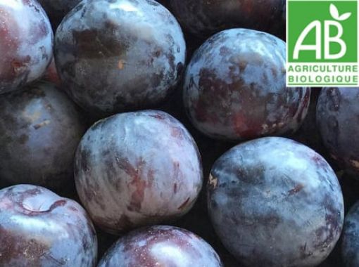 Image de PRUNE JAUNE ES 5KG - KG BIO