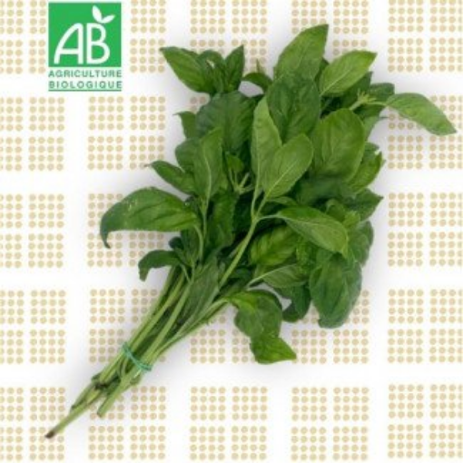 Image de BASILIC BOTTE BE 8PC - PC BIO