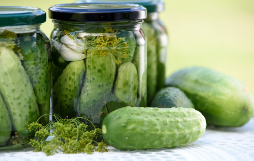 Image de CORNICHON 8X200GR TBE - PC BIO