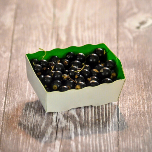 Image de CASSIS BE 8X125GR - RV BIO