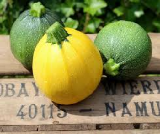 Image de COURGETTE RONDE MIXTE VERTE ET JAUNE BE 4KG - KG BIO