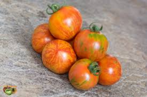 Image de TOMATE ANCIENNE RED ZEBRA BE 5 KG - KG BIO
