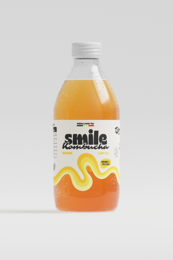 Image de KOMBUCHA GINGER & PASSION 12X330ML - COLIS