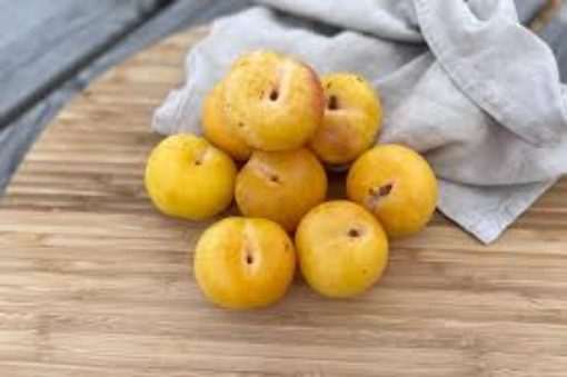 Image de PRUNE JAUNE TBE 5KG - KG BIO