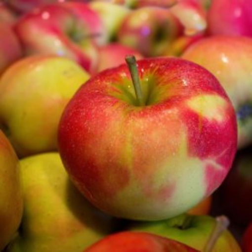 Image de POMME NATYRA IT 11KG - KG BIO