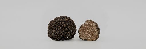 Image de TRUFFE D'AUTOMNE - KG