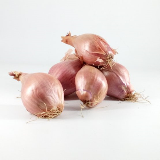Image de ECHALION BE 5KG - KG BIO