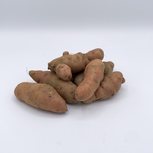 Image de PDT CORNE DE GATTE BE 10KG - KG BIO