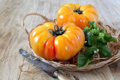 Image de TOMATE ANANAS 4.5KG - KG fr