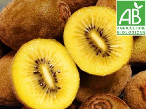 Image de KIWI JAUNE IT 4KG - KG BIO
