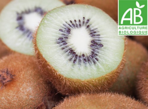 Image de KIWI VERT GR 6KG - KG BIO