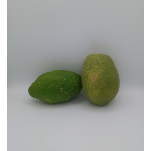 Image de CITRON CEDRAT IT 4KG - KG BIO