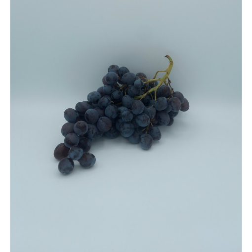 Image de RAISIN NOIR RIBOL FR 6KG - KG BIO