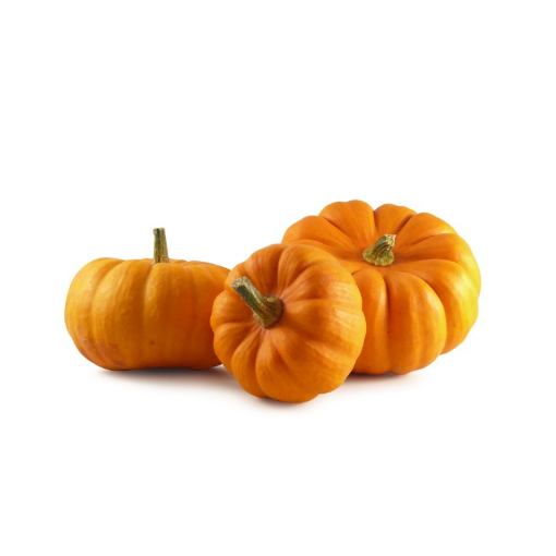 Image de COURGE JACK BE LITTLE BE 4KG - KG BIO
