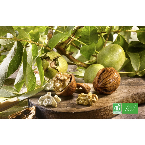 Image de NOIX FRAICHE COQUE BE 3KG - KG BIO