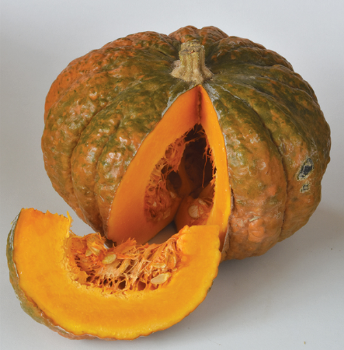 Image de POTIMARRON ORANGE/VERT BE 12KG - KG BIO