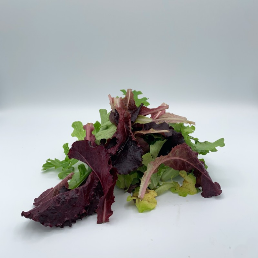 Image de LAITUE BABY/JEUNES POUSSE DE LAITUE BE 1KG - KG BIO