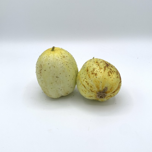 Image de CONCOMBRE LEMON BE 2KG - KG BIO