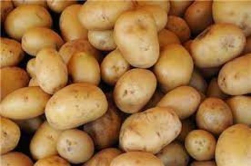 Image de PDT VITABELLA BE 15KG - KG BIO