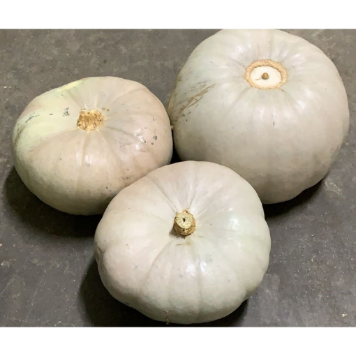 Image de POTIMARRON BLEU BE 12KG - KG BIO