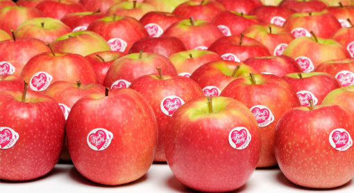 Image de POMME PINK LADY 9.9KG - KG nz