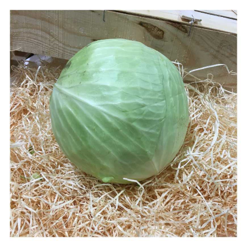 Image de CHOU BLANC BE 8KG - KG BIO