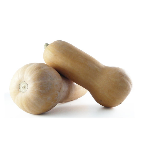 Image de COURGE BUTTERNUT BE 12KG-KG BIO