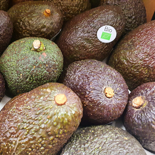 Image de AVOCAT HASS ES 20-24PC 4KG- PLT BIO