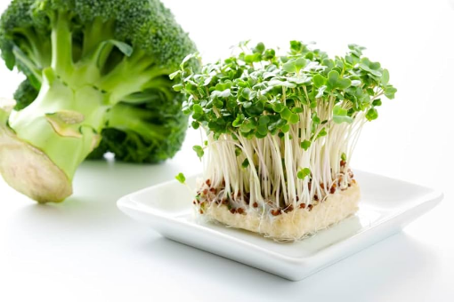 Image de BROCOLI SPROUT ES 6KG - KG BIO