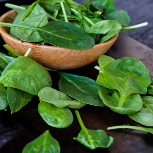 Image de JEUNE POUSSE EPINARD IT 1KG- KG BIO