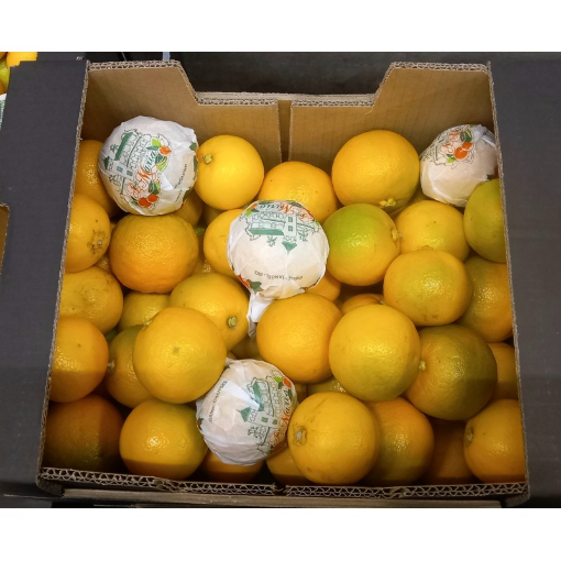 Image de ORANGE AMERE AVE MARIA 9KG ES - KG BIO