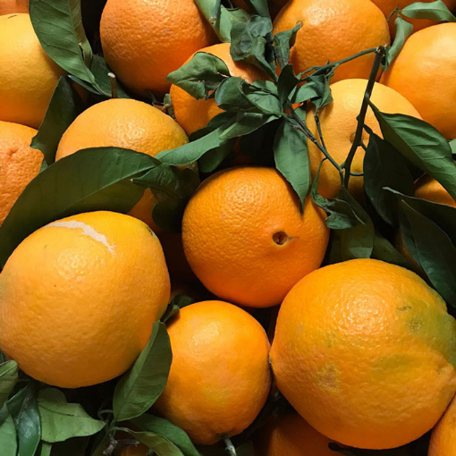 Image de ORANGE FEUILLE IT COSMO 9KG - KG BIO