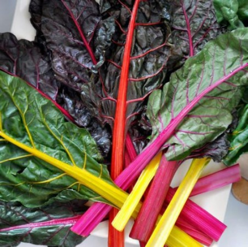 Image de BETTE COULEURS FR 5KG - KG BIO