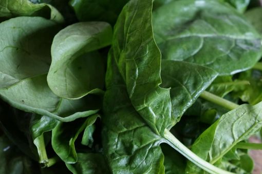 Image de EPINARD FR 5KG - KG BIO