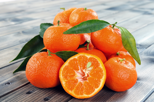 Image de TACLE IT 6KG - KG BIO