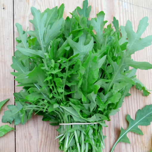 Image de ROQUETTE BOTTE IT 10PC - PC BIO