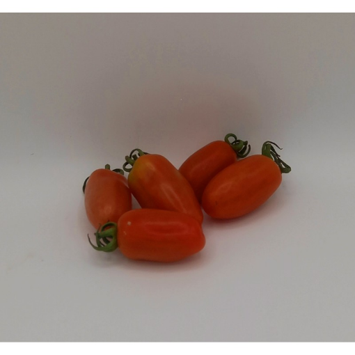 Image de TOMATE ROMA ES 6KG - KG BIO