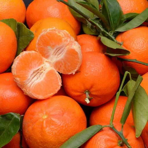 Image de MANDARINE AVANA IT 8KG - KG BIO