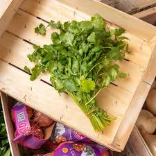 Image de CORIANDRE BOTTE BE 10PC - PC BIO