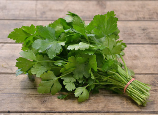 Image de CORIANDRE FR 10BT - BT BIO