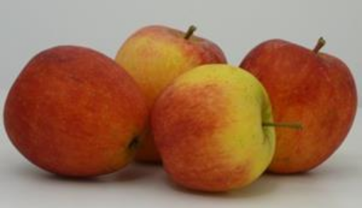 Image de POMME COXYBELLE DE TEMPLOUX TBE 11KG - KG BIO