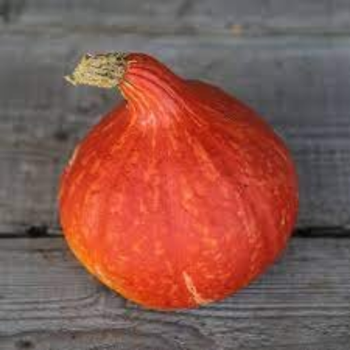 Image de POTIMARRON ORANGE BE 12KG - KG BIO