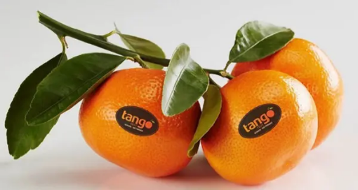 Image de MANDARINE TANGO ES 6KG - KG BIO