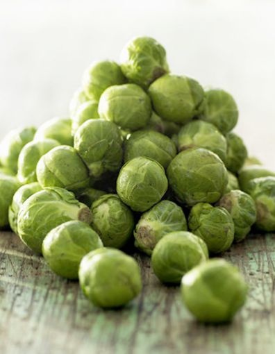 Image de CHOU BXL TBE 5KG - KG BIO