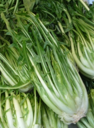 Image de CIMATA PONTARELLA - CAISSE it