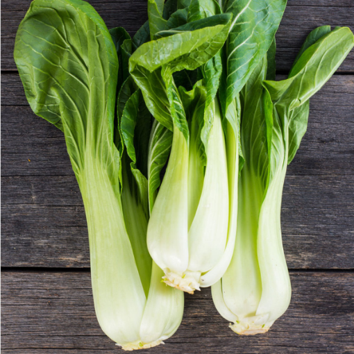 Image de CHOU PAKCHOI TBE 6PC - PC BIO